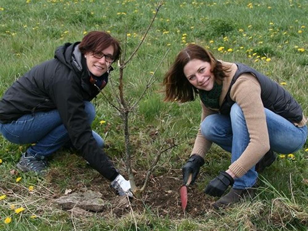 Course in Truffle Cultivation
