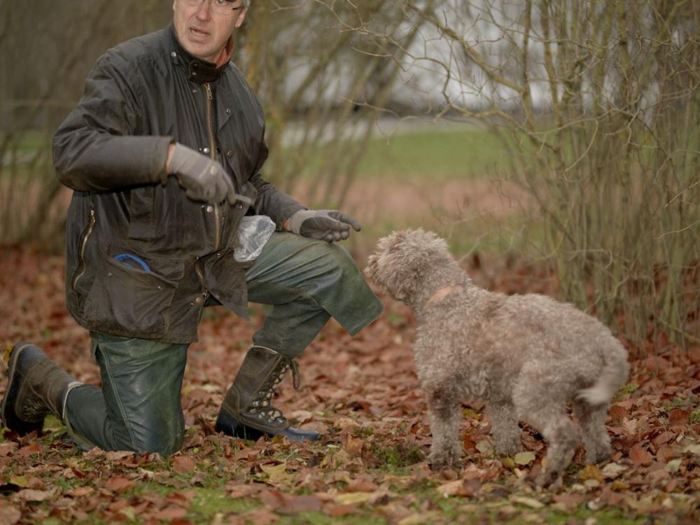 Exciting Truffle Hunt